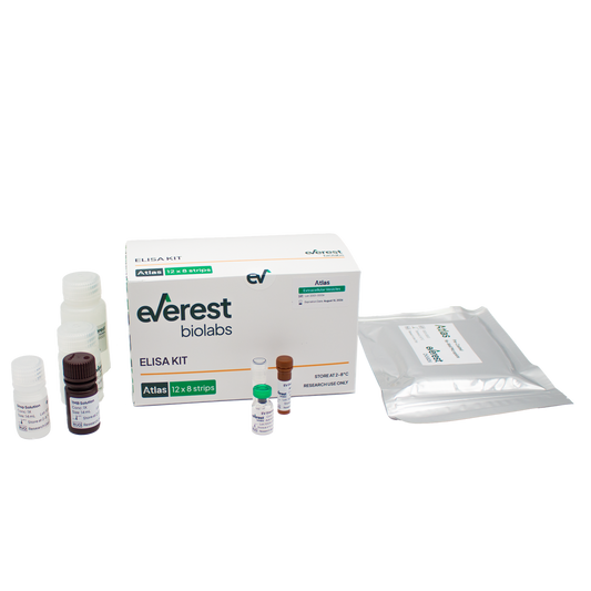 Atlas Human EV ELISA Kit