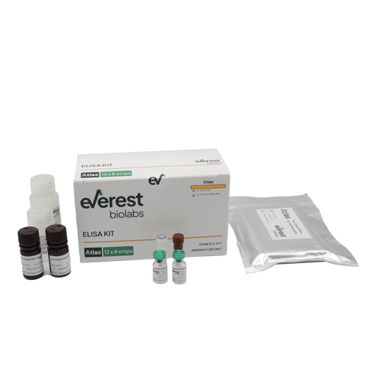 Atlas Lumi Human EV ELISA Kit
