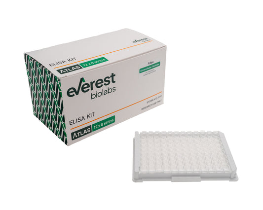 Atlas Human EV ELISA Kit