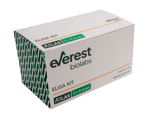 Atlas Lumi Homebrew Kit